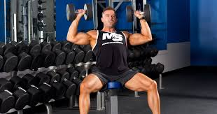 Build Muscle with gym props
